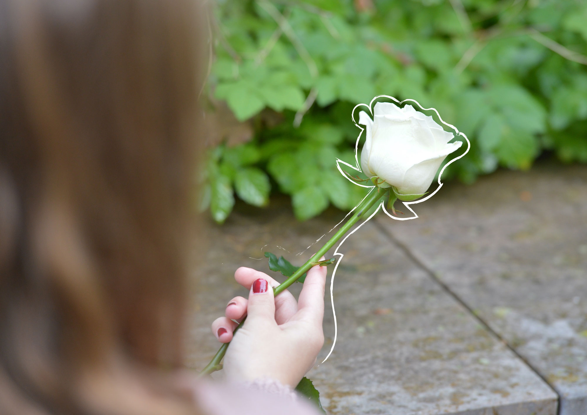 Eine Frau hält eine weiße Rose in der Hand, Todesfall-Checkliste für Angehörige in Karlsruhe