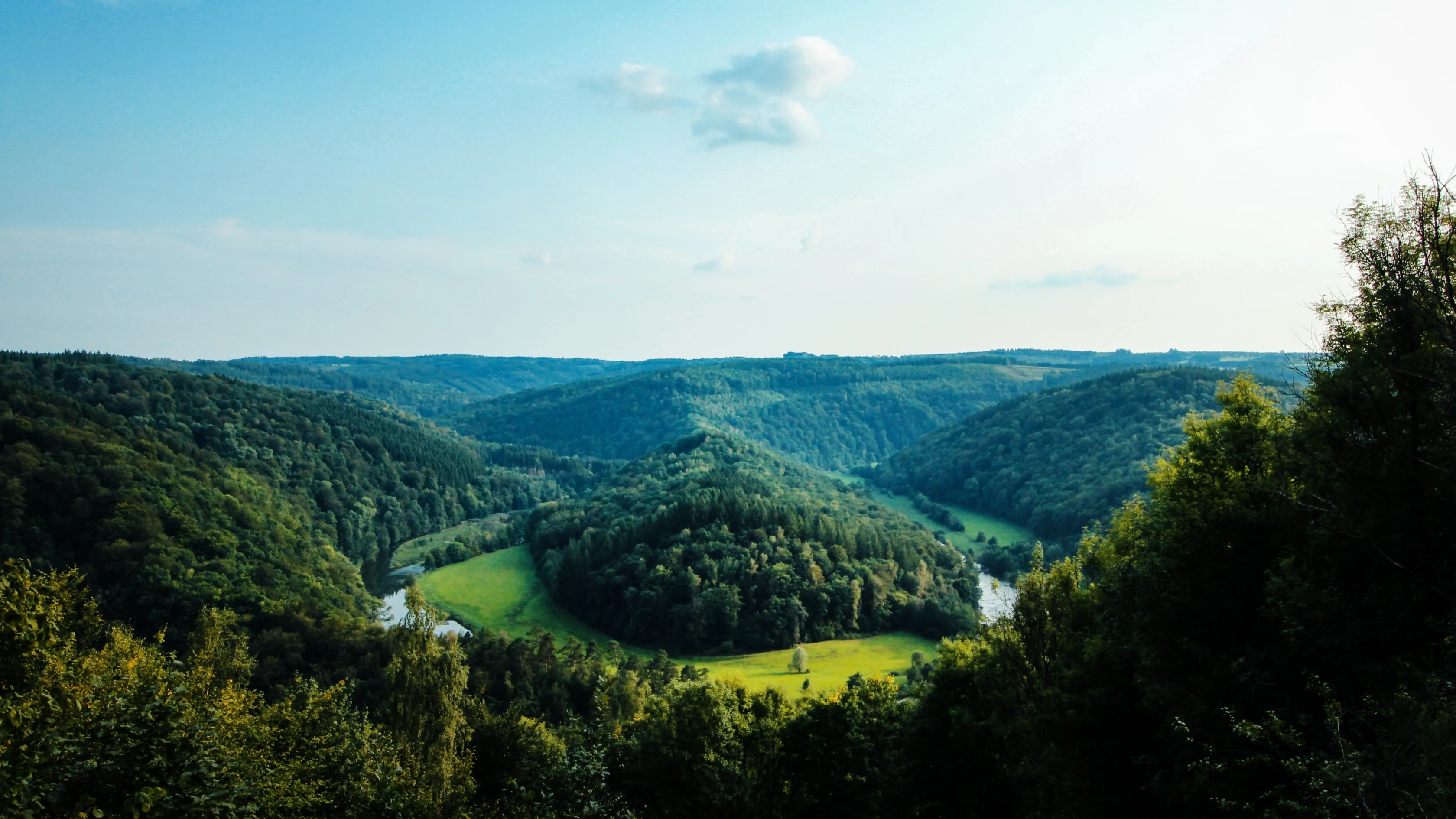 Baumbestattung in der Natur bei Karlsruhe, Urne an einem Baum im Wald
