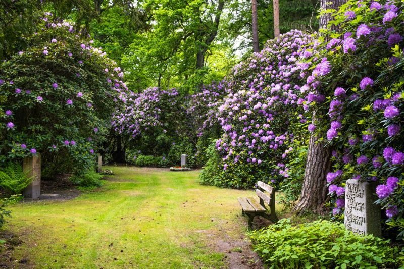 Waldbestattung im FriedWald Schwaigern am Heuchelberg bei Heilbronn